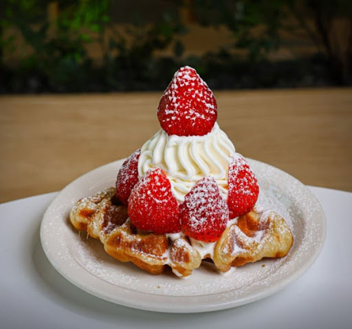 카페달곰이 전주한옥마을맛집 탐방 중 들르기 좋은 카페인 까닭